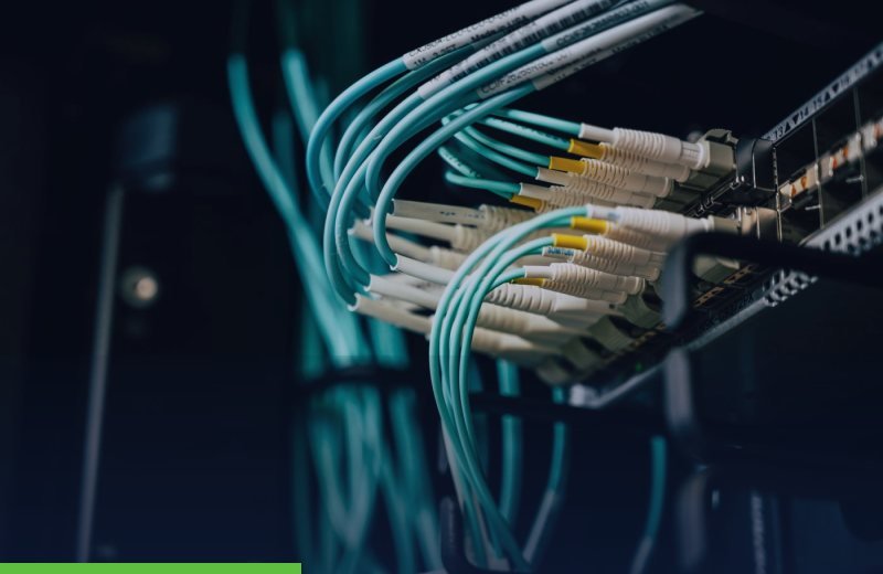 Network cables connected to a server
